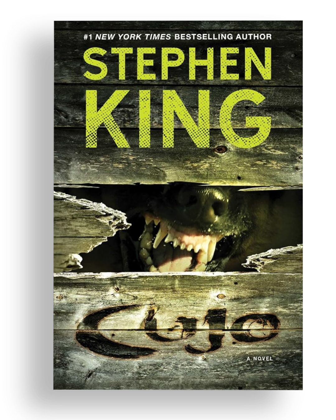 Cujo Book Cover